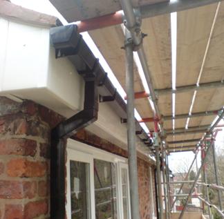 Fascia After
