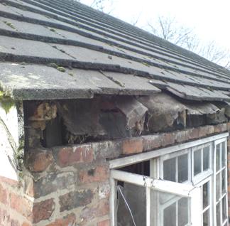 Fascia Before